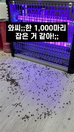 효과적인 초파리 퇴치 트랩 소개