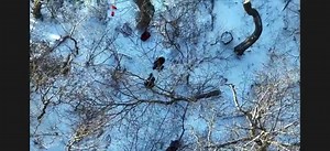 BREAKING: Bedford Fire Department rescues hikers trapped at Sharp Top Mountain. https://tinyurl.com/2epw5y6k | WDBJ7