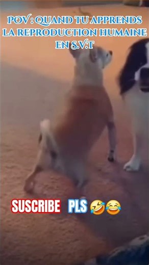 POV : Quand tu apprends la reproduction humaine en S.V.T #funny #memes #dothingsyoudontwanttodo