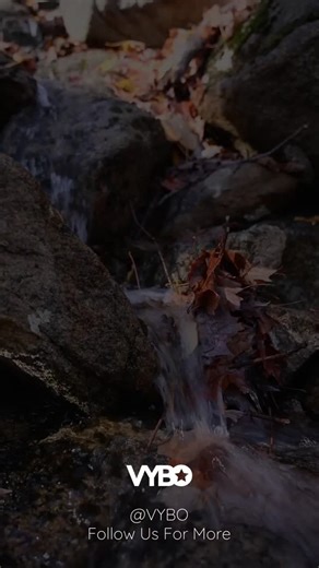 VYBO on Instagram: "The key to success is to focuse on goals, not obstacles. Subscribe to my YouTube Channel: https://www.youtube.com/@vybo #Motivation #FinancialFreedom #WealthMindset #EntrepreneurLife #BreakTheSystem #MoneyMindset #BusinessOwner #ThinkDifferent #MindsetMatters #SuccessDriven #FinancialEducation #FreedomLifestyle #CreateNotConsume #WealthBuilding #StayWoke"