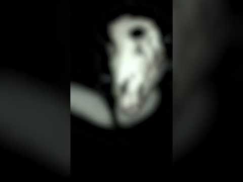 Summoning GRINNY CAT - Part 1 | Creepypasta/SCP Horror Short