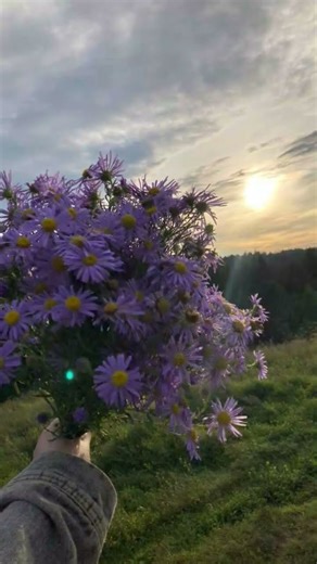 لا اله الا الله #القرآن_الكريم