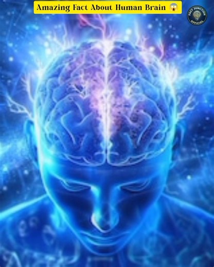 fact | amazing facts | #facts #amazingfacts #humanbrainfacts #youtubeshorts #shorts