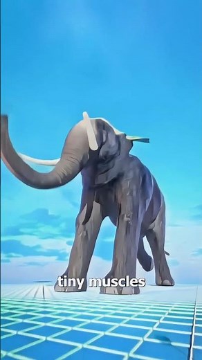 How Strong is an Elephant’s Trunk? | Nature’s Ultimate Tool