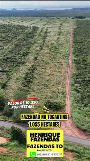 FAZENDA NO TOCANTINS #agro #gado #fazenda #pecuarista