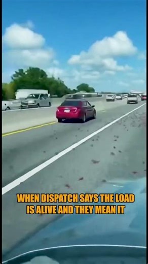 CRAYFISH TAKEOVER ON THE I 10! 🦞😱 New Orleans spill!