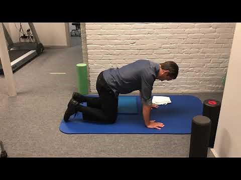 Low Back Multifidus Training