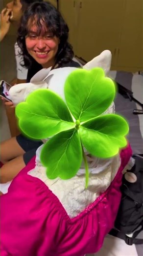 They Spotted HELLO KITTY in REAL LIFE 📸