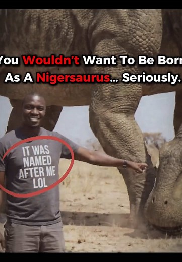 Why It Sucks To Be Born As a Nigersaurus...? 💀 #dinosaurs #prehistoric #prehistoricanimals