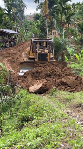 Performance of the D6R XL Bulldozer in Plantation Fields