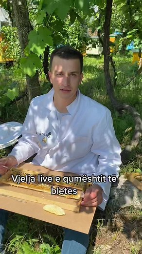 Bletaria_imee (@bletariaime)’s videos with original sound - Bletaria_imee