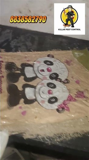 killar pest control service.... 100% guarantee full work neet and cline