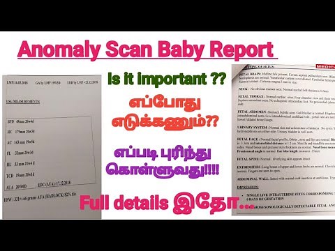 How to read your Anomaly Scan Report || 5Th month Anonaly scan report படிக்கலாம் வாங்க scan Report