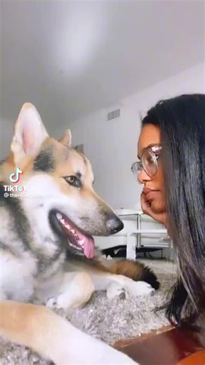 SCARLIT SCANDAL on TikTok