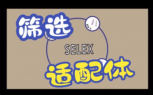 什么是SELEX？如何筛选适配体