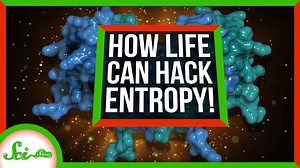 How Cells Hack Entropy to Live