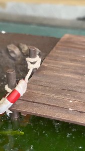 3.3K views · 1.4K reactions | Miniature Dock Diorama - Part 3: The Dog and Props Placement #miniature #dock #dog #art #part3 #miniseries #prop #cute | Miniature Model Making | Facebook