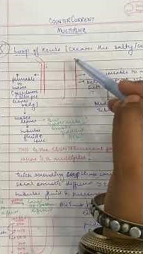 counter current mechanism - physiology explained