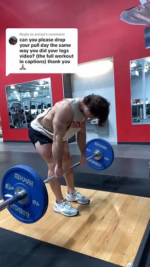 Replying to @arinze BB rows 4x8 Single arm low row 3x12 whold on last repset Rear delt flies 3x15 Chin ups 2xfailure (not shown phone died) Incline db curls 3xfailure#672 | Ckisselll