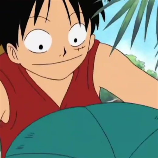 Momentos engraçados de One Piece #animemomentos #luffy #chapéusdepalha #onepiece #anime