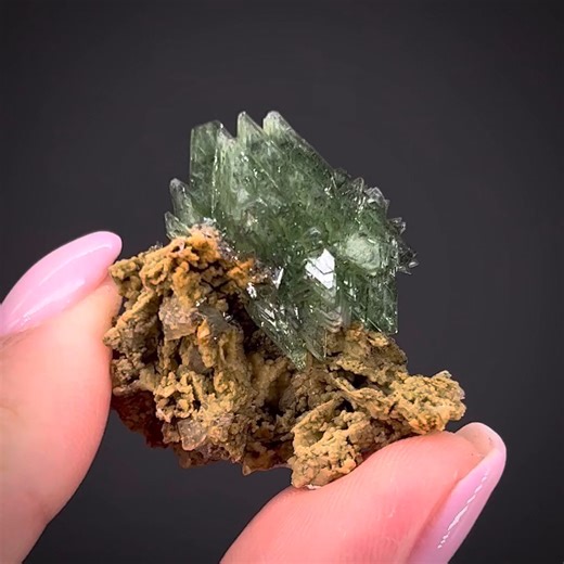 Ludlamite on Siderite - San Antonio Mine, Santa Eulalia, Aquiles Serdán Mun., Chihuahua, Mexico More info: https://www.irocks.com/minerals/specimen/51839 Ludlamite in sharp crystals of this caliber is well known from the old finds in Bolivia, more recently from large finds in Brazil (though of a different style of crystal shape); and very very rarely from a few other localities in the world. This is from one of those exceptions, where most people have never seen a good ludlamite. These were foun
