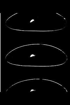 Drosophila embryogenesis/pole cell migration