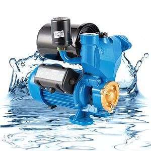 [Hot Item] Wzb Automatic Peripheral Self-Priming Water Pump for Green Use