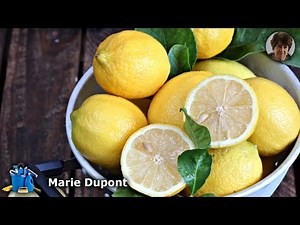 Découvrez 5 Astuces Infaillibles pour Conserver les Citrons à la Maison!