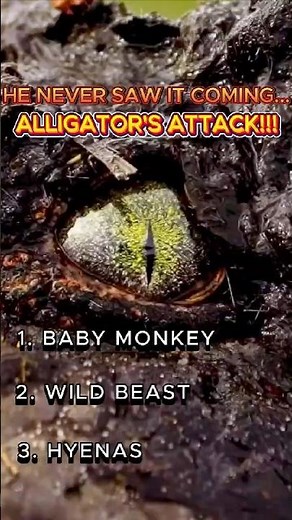 Alligator Attack Caught on Camera! 🐊 Shocking Real Footage #alligatorattack #wildlife #survival