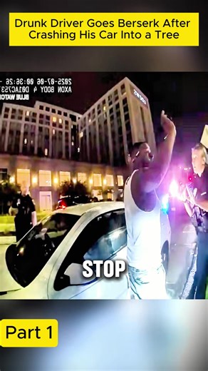 Drunk Driver Goes Berserk After Crashing His Car Into a Tree. Part 1 #cops #bodycam #police #news #foryou