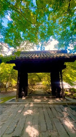 秋月城は黒門と周囲の紅葉が見事に調和する景観が秋月を代表する風情として多くの人を魅了しています。秋月はかつての城下町の町並みが色濃く残っていることから筑前の小京都とも呼ばれています