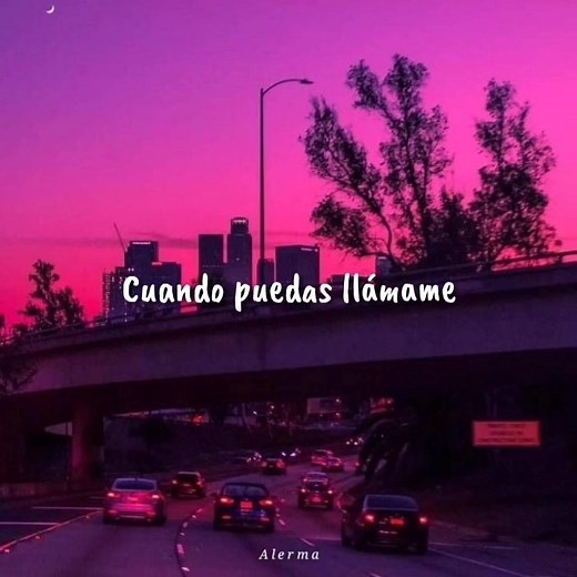 Mi soledad y yo - Alejandro Sanz | A l e r m a