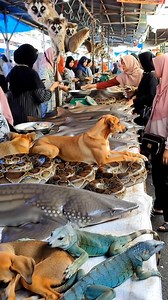 INSANE Market with Dogs, Snakes & Iguanas #reels #viral #fyp #foryou #like #market #asia | Pasar Ngawur