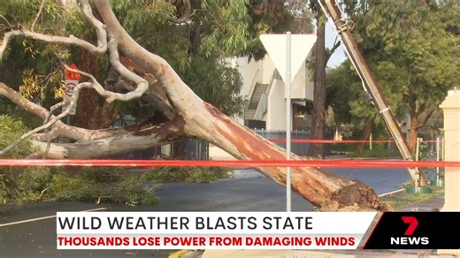 More than 2,000 customers are still without power after strong winds battered the state overnight. The wild weather has left a trail of destruction. Download the 7NEWS app: https://7news.link/7NEWSapp #7NEWS | 7NEWS Adelaide