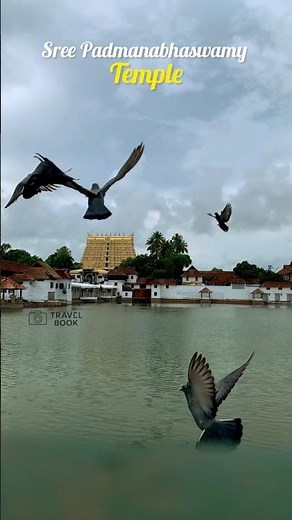 Sree Padmanabhaswamy Temple 🙏🏻 #padmanabhaswamytemple #richesttemple #trivandrum #kerala #travel