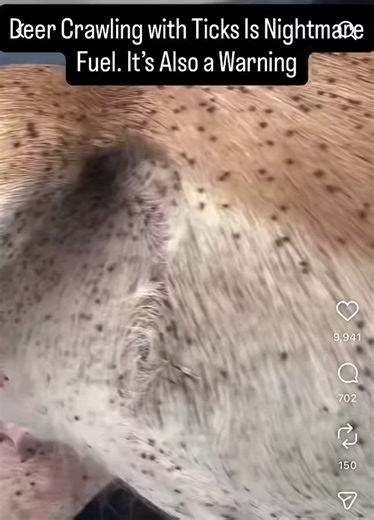 They say it wasn’t an accident...The ticks didn’t just spread.They were released, altered, carried into the wild with intent. Lyme became more than a disease; it became a boundary.Forests once open turned uncertain, hunting grounds turned hostile, and even the act of stepping outside carried a cost.According to those who have studied the pattern, it served a purpose...Limit movement.Erode self-sufficiency.Replace independence with caution, then caution with dependence.If you can’t trust the land