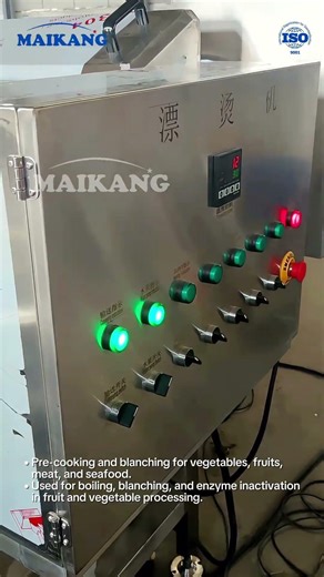 Blanching & Sterilizing Machine for Vegetable Processing #BlanchingMachine #VegetableProcessing