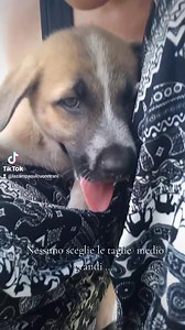 32K views · 1.1K reactions |  URGENTE , Aggiornamento 15 luglio.....