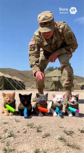 FUNNY CAT TRAINING SOLDIERS