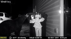 59K views · 993 reactions | Bear problem, solved! (listen with sound) | ViralHog | Facebook