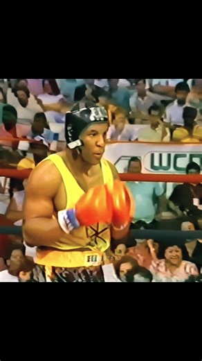 Mike Tyson's Impressive Uppercut Knockouts