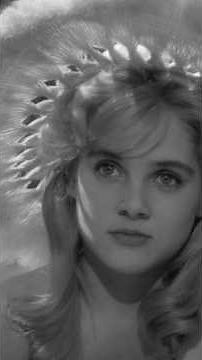 1962 - Lolita de Stanley Kubrick #film #movie #cinema