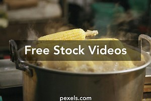 Corn Videos, Download The BEST Free 4k Stock Video Footage & Corn HD Video Clips