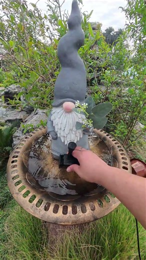 DIY Mini Pond: From a Flower Pot