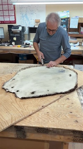 Luis is blocking a beaver pelt. Blocking a beaver pelt is done to shape and stretch the skin while it dries so the fur lies correctly and the pelt keeps the proper size and contours. •Stretch and set the skin to prevent shrinking and distortions after tanning. •Smooth and align the nap (hair direction) for an even appearance. •Remove wrinkles, creases, and uneven areas. Shape the pelt to fit a hat block or pattern for millinery or garment construction. •Improve finish and allow accurate trimming
