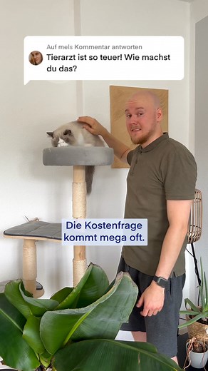 Genug von hohen Tierarztrechnungen? Mit Lassie bist du abgesichert – wir erstatten dir bis zu 100% deiner Kosten! 🐾 | Lassie Deutschland