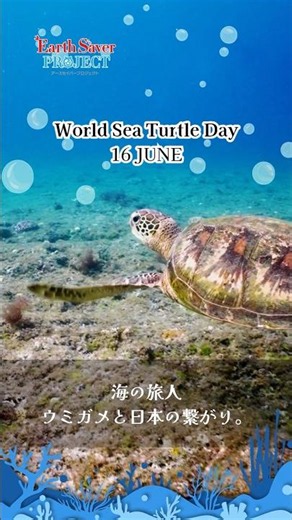【6/16 World Sea Turtle Day🐢】日本の海とウミガメの危機。私たちに今できる「小さな選択」とは？