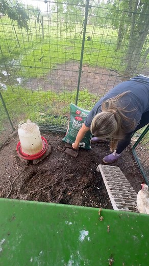 How to fix a muddy chicken pen 🌧️🐓 | Gulf Coast Cluckers