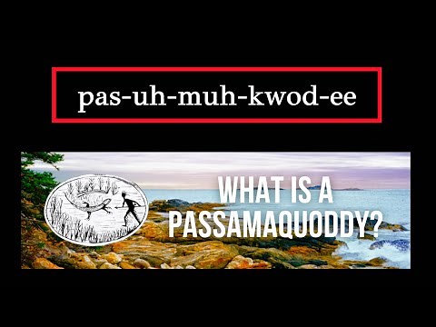 What is a Passamaquoddy? Five Historical facts about Maine's #NativeAmerican Tribe #wabanaki