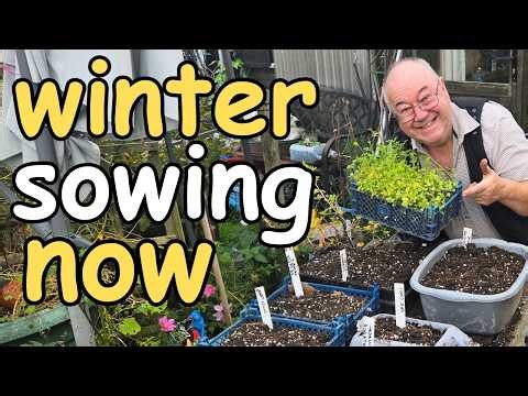 The Secret to a Winter Harvest in a Tiny Space (It's So Easy!)